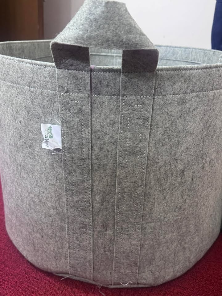 510346953_725485746518846_640877774555898151_n - Copy